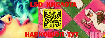 МДПВ Новозыбков