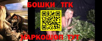 МДПВ Новозыбков