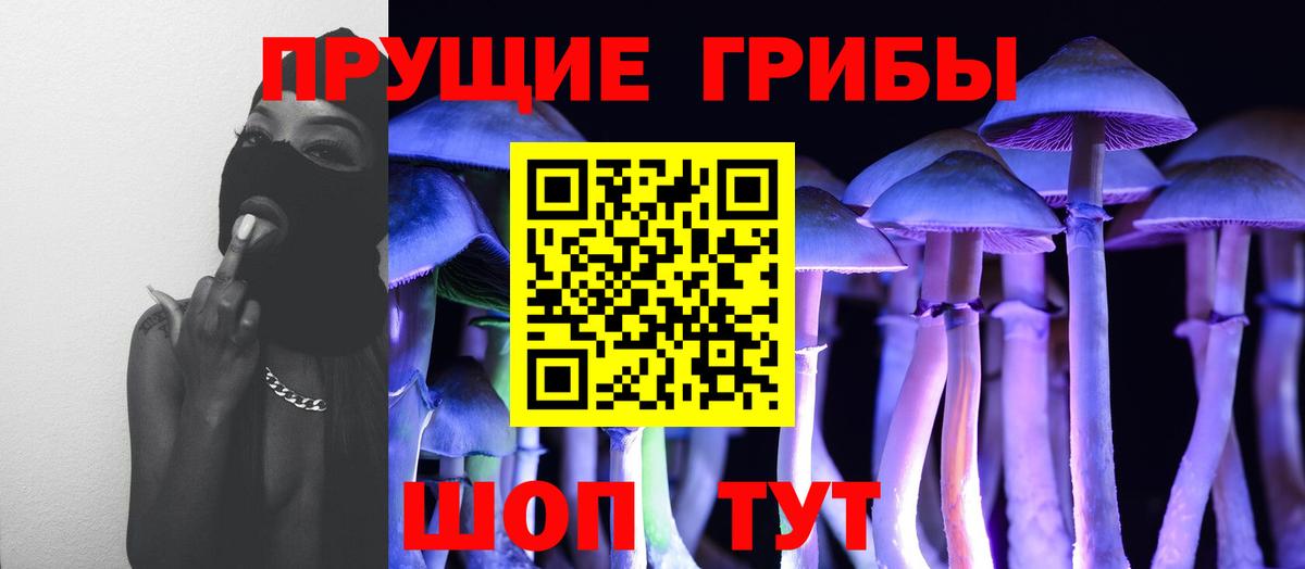 Галлюциногенные грибы GOLDEN TEACHER  Вход с VPN  Сунжа  Галлюциногенные грибы ЛСД 