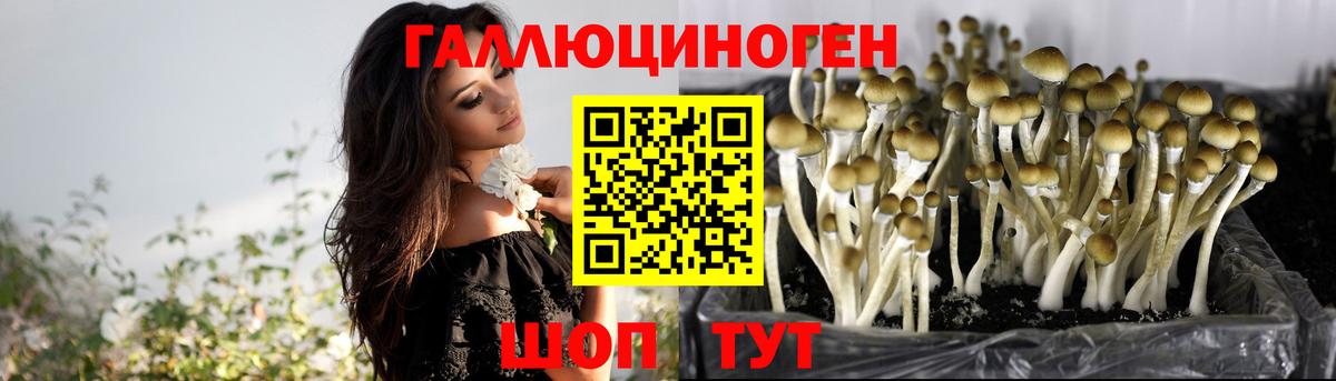 Галлюциногенные грибы прущие грибы Сунжа
